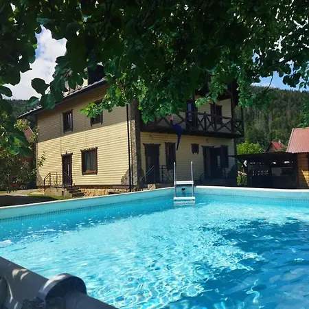 Arkan מיקוליצ'ין