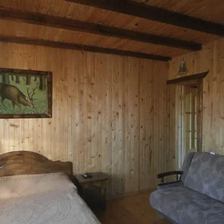 Arkan * מיקוליצ'ין